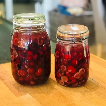 Gite Coursaint-pierre