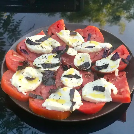 Gite Coursaint-pierre * Paulhiac